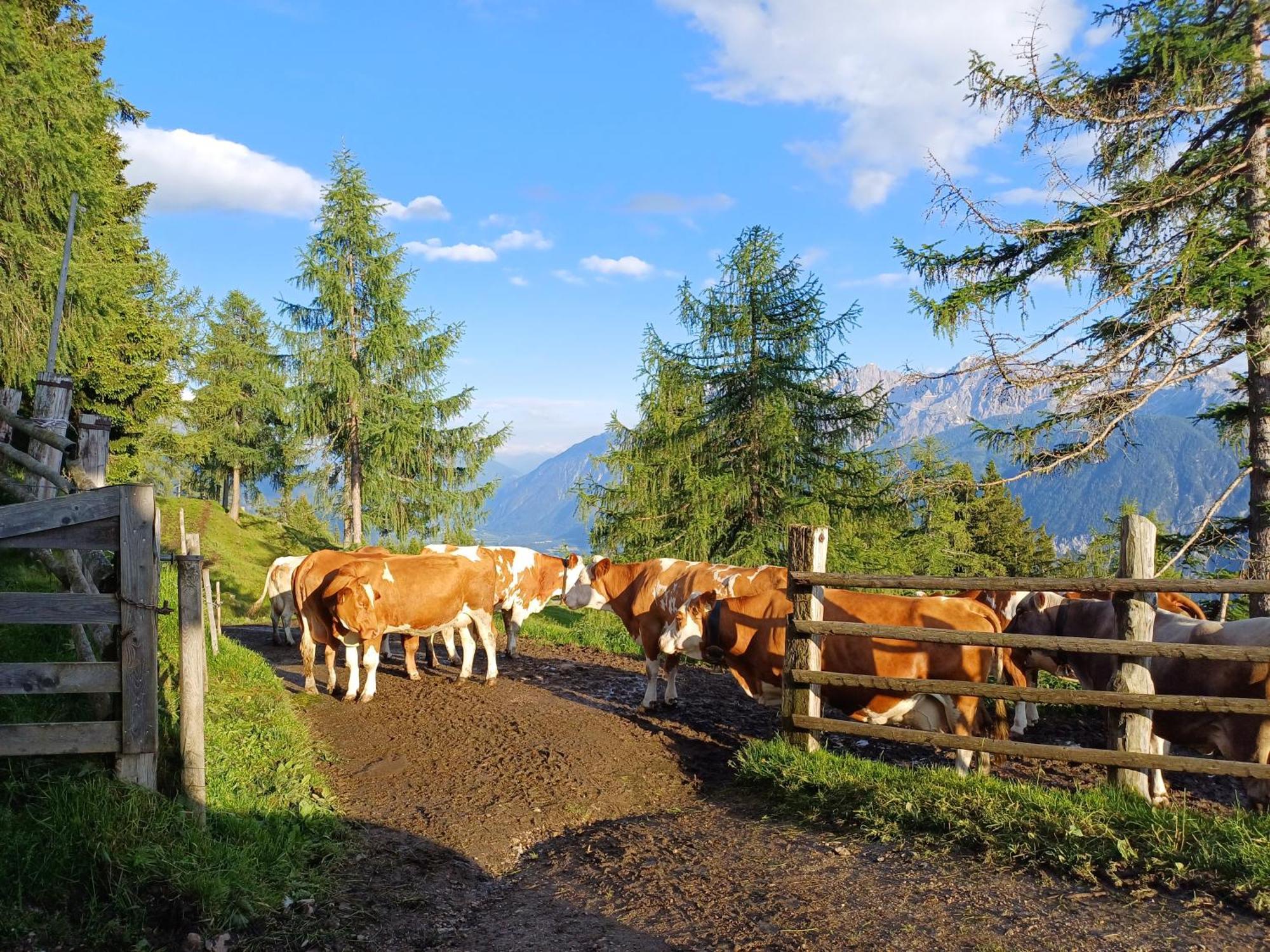 Apartamento Unterniggleralm Thurn Exterior foto
