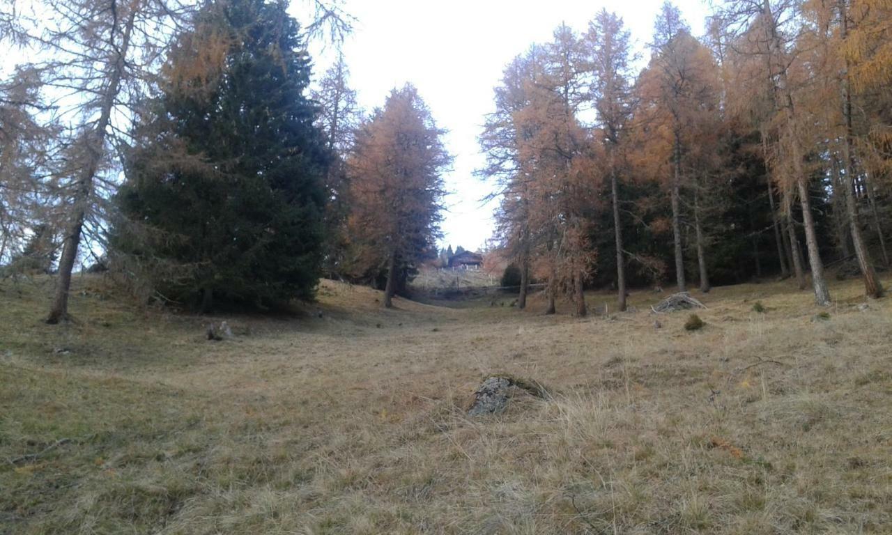 Apartamento Unterniggleralm Thurn Exterior foto